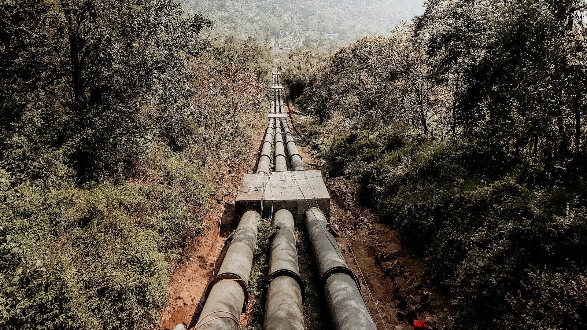 Eine Pipeline im Grün der Natur